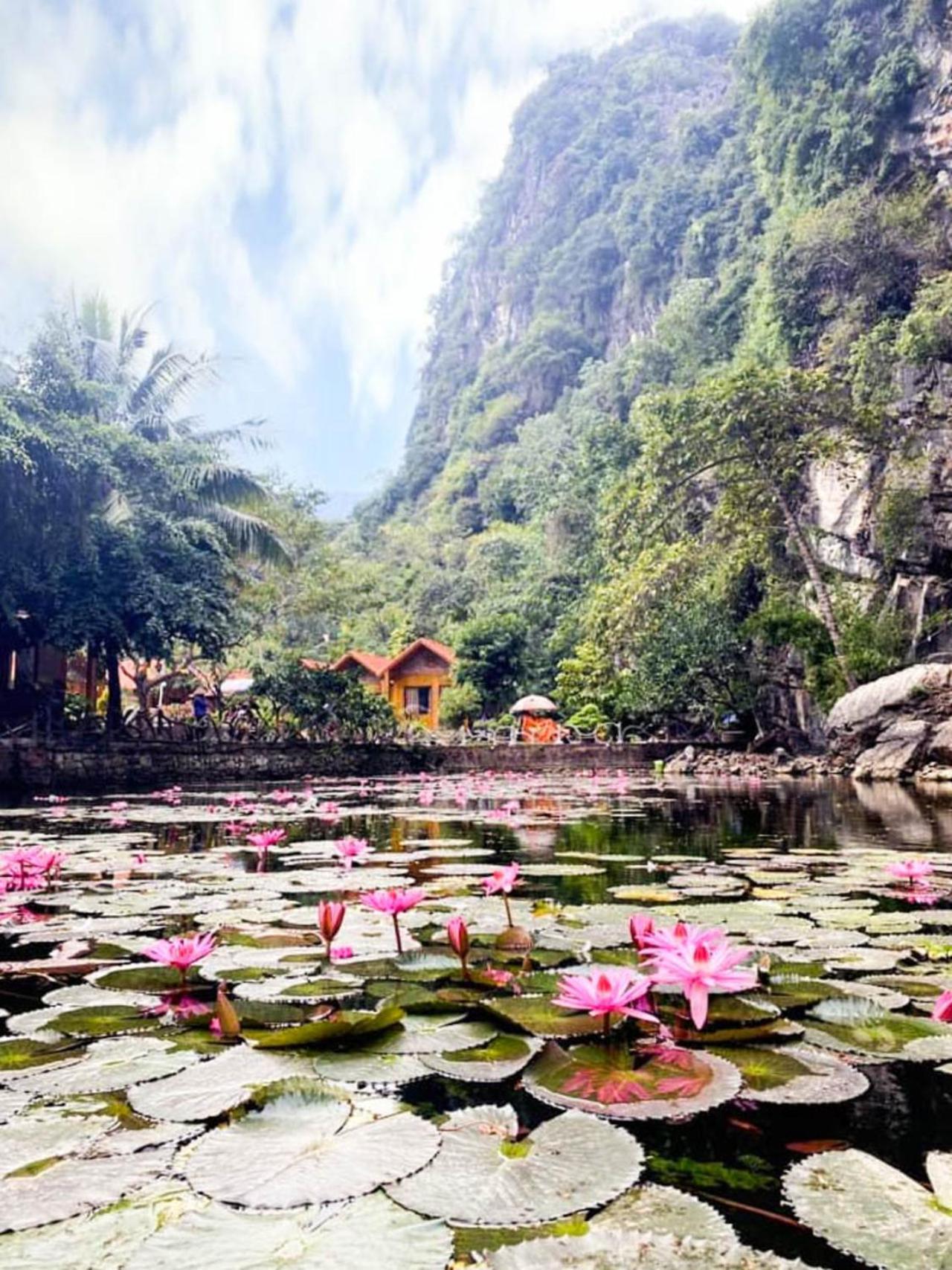 Tam Coc Rocky Bungalow 닌빈 외부 사진